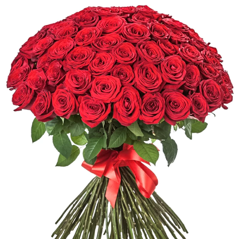 1000 Red Roses
